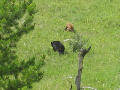 Rocky Mountains Banff nationalpark Canada