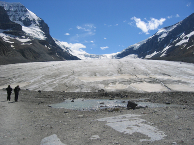 Glacier National park Banff Rocky mountain Svawapta Lake Athabascha glacier of Colombia icefield visit canada