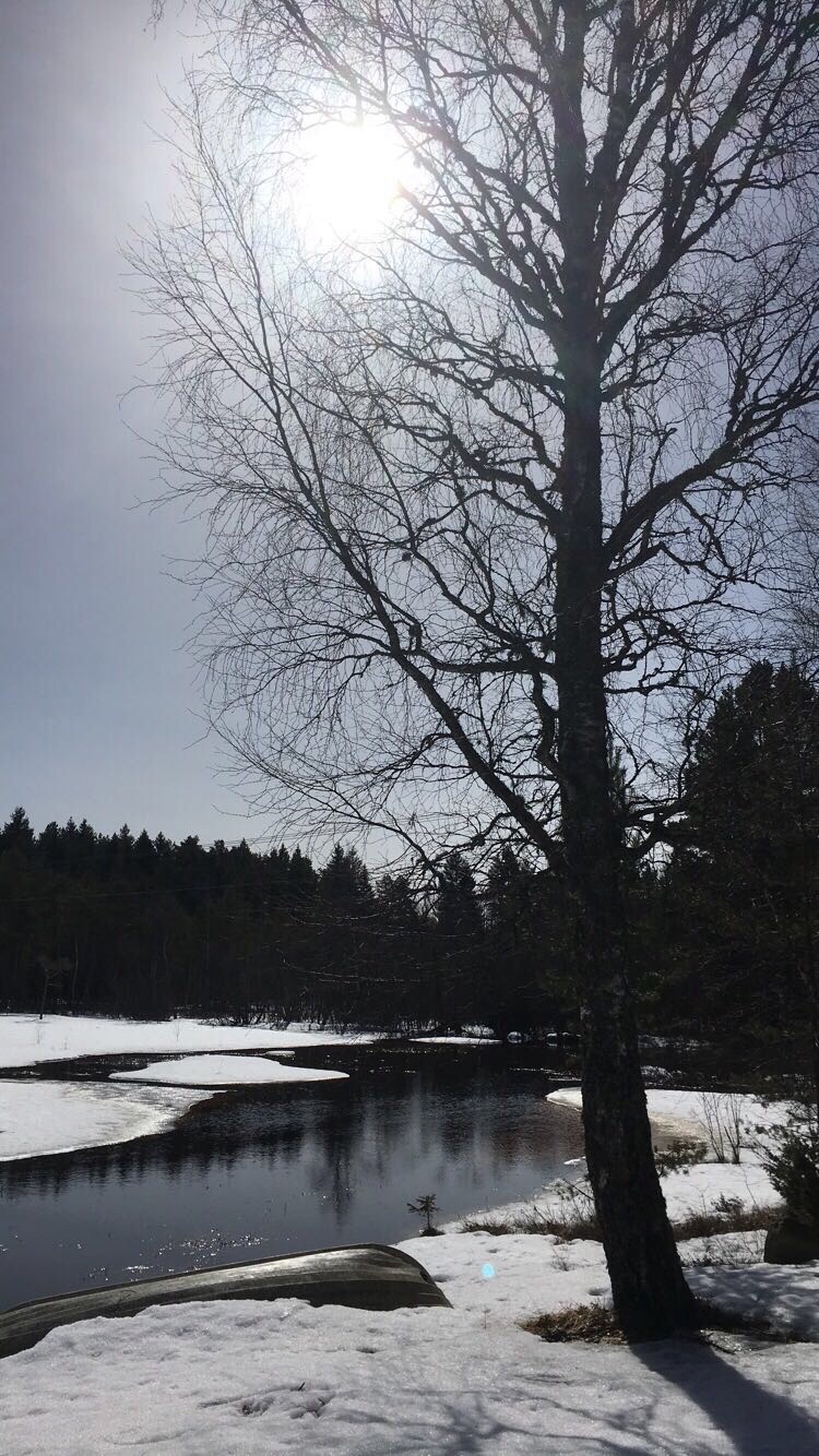 River in Norway Norwegians lake yoga meditasjon meditation in Norway Norwegian blogger the silence of the water