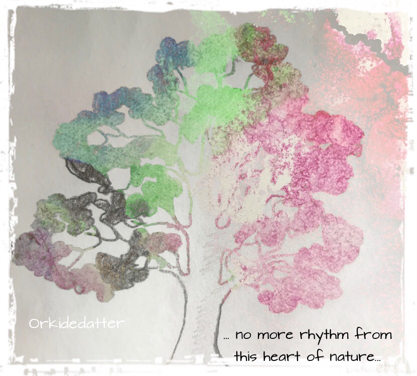 A tree poem prosaist Norwegian blogger livet tanker Norwegian thoughts Norwegian poem a tree Orkidedatter art Norwegian blogger Norway