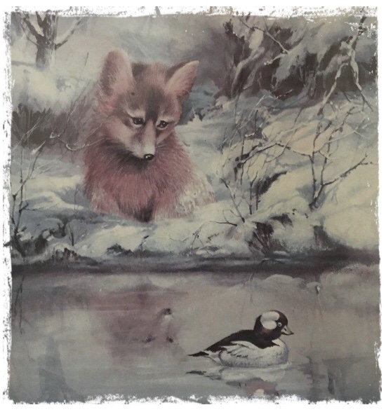 Norwegian blogger Norway