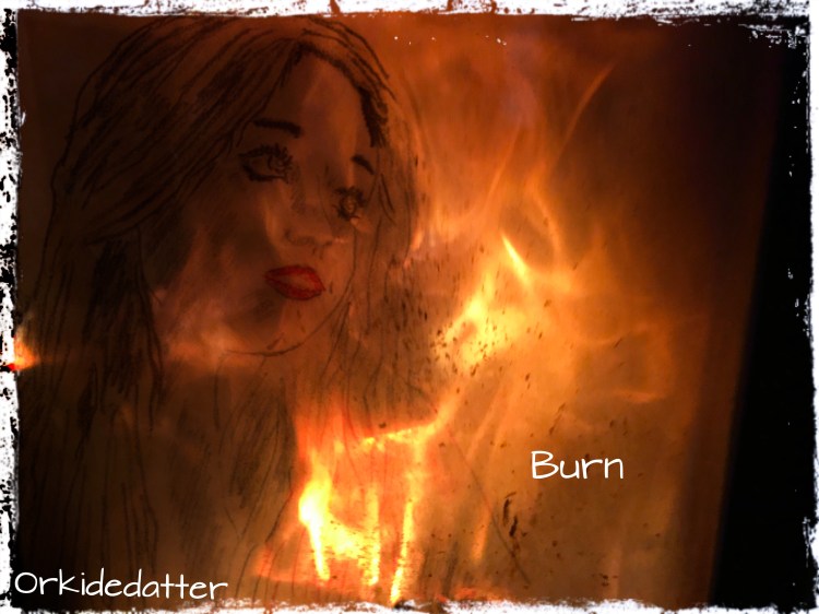 Poem dikt burn brent norwegian blogger