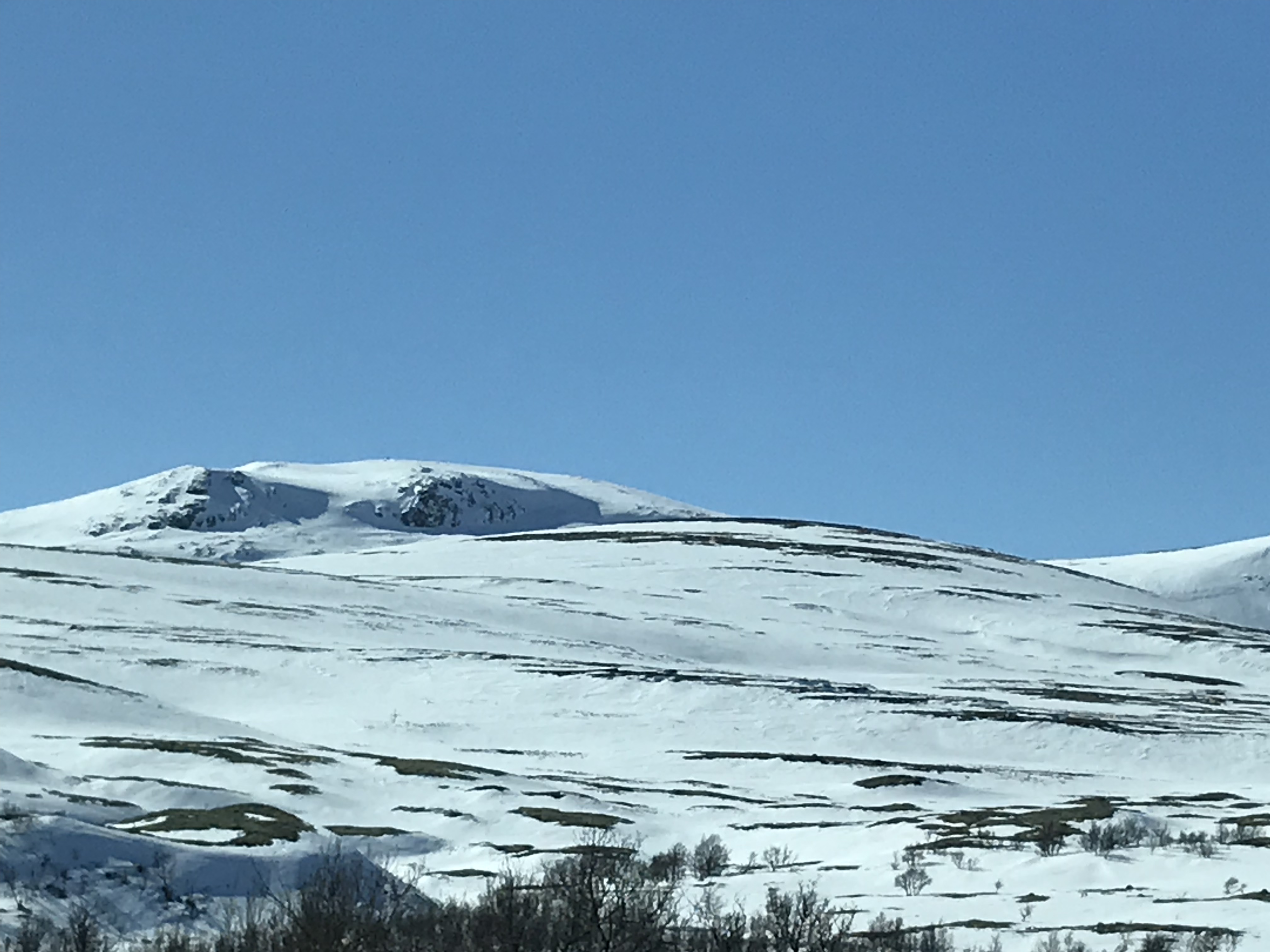 Norwegian nature Norwegian blogger.
