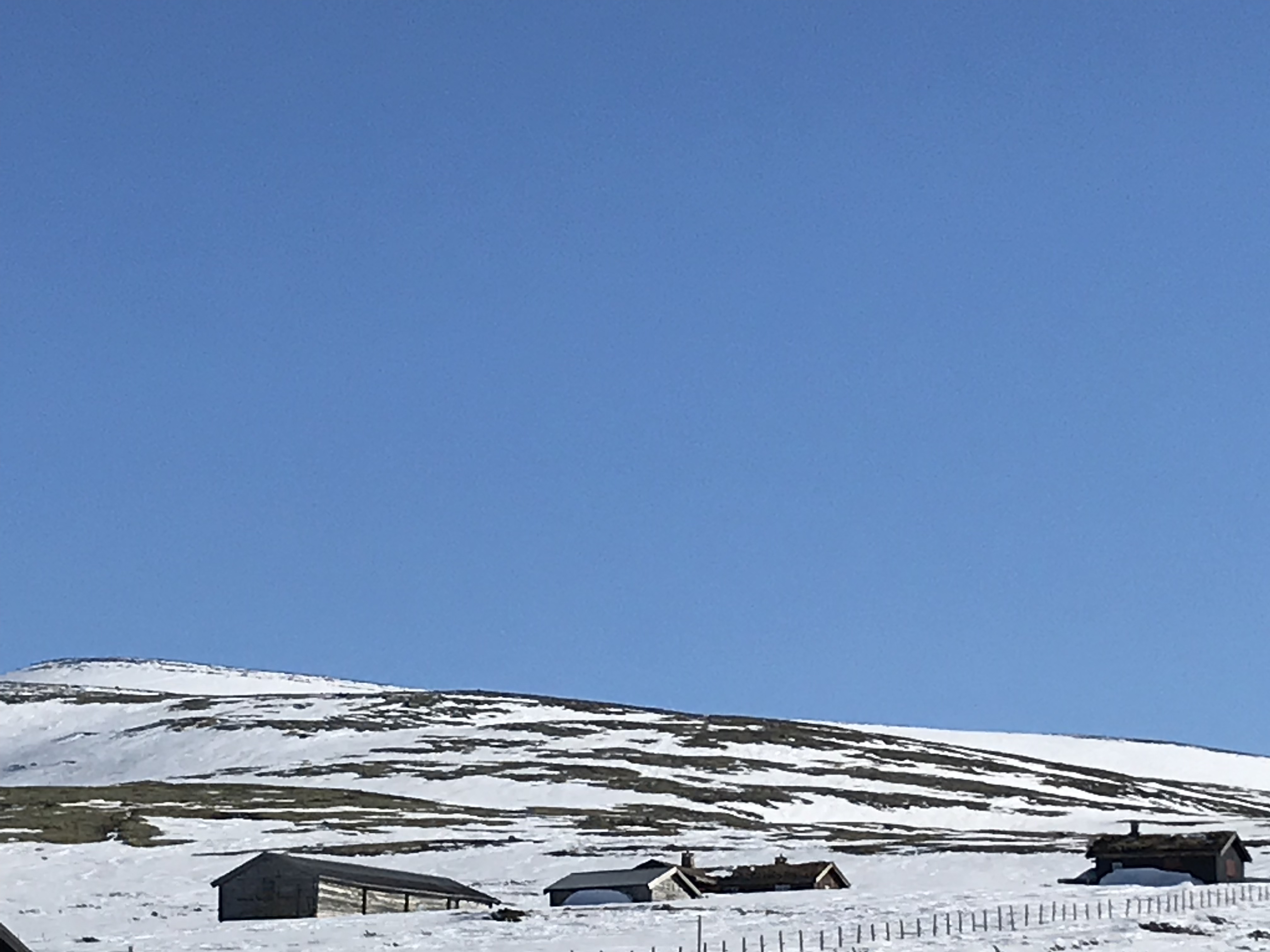 Norwegian nature, Norwegian blogger